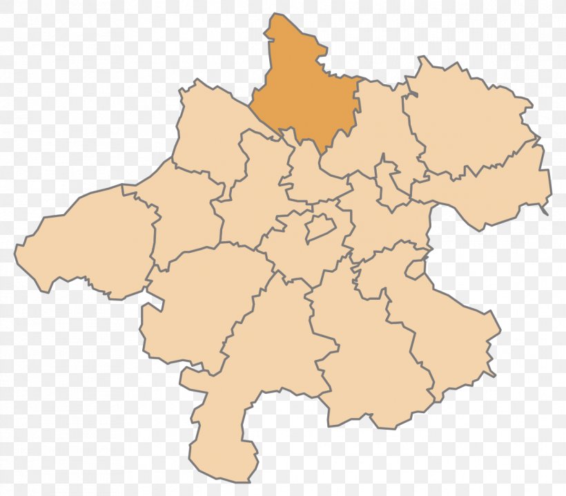 Wels Gmunden District Rohrbach District Steyr Linz, PNG, 1169x1024px, Wels, Austria, Bezirk, City, Ecoregion Download Free