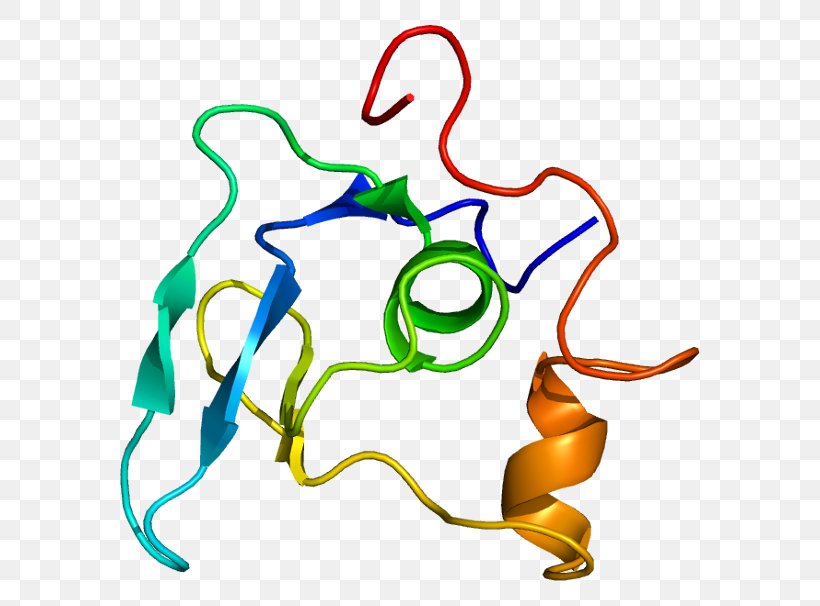 Fibrillin 1 Protein Marfan Syndrome Online Mendelian Inheritance In Man, PNG, 630x606px, Watercolor, Cartoon, Flower, Frame, Heart Download Free