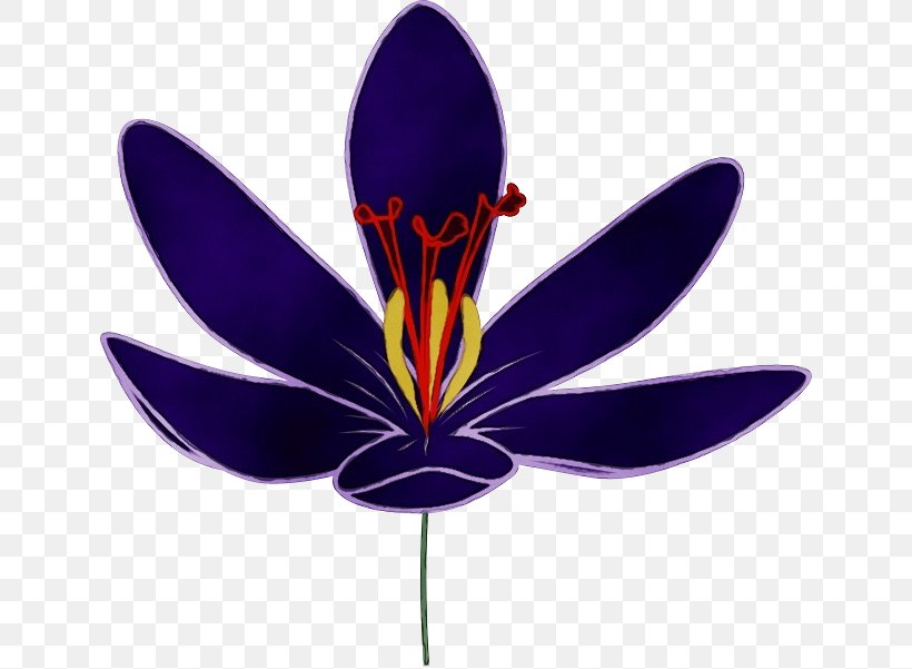 Flower Purple Petal Plant Violet, PNG, 640x601px, Watercolor, Crocus, Flower, Flowering Plant, Iris Download Free