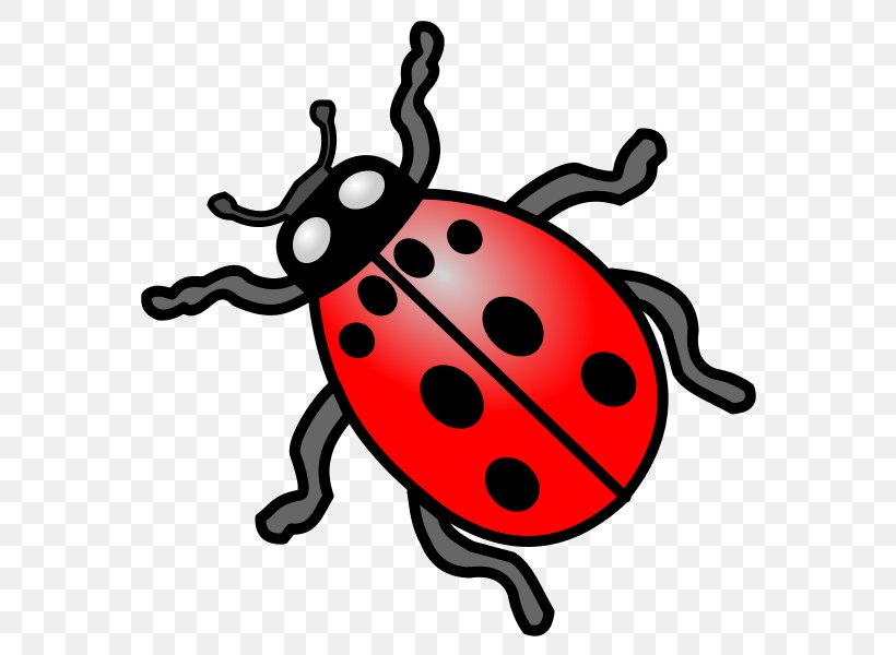 Ladybird Beetle Animal Insect Clip Art, PNG, 600x600px, Ladybird Beetle, Animal, Artwork, Beetle, Cat Download Free