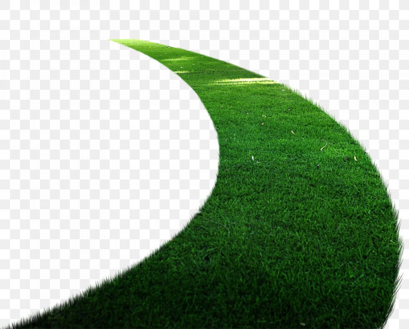 Lawn Road, PNG, 984x792px, Lawn, Artificial Turf, Brand, Designer, Detour Download Free