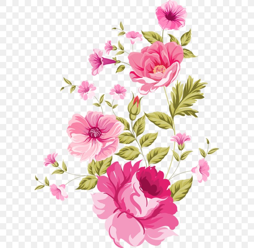 Peony Clip Art, PNG, 597x800px, Peony, Annual Plant, Blossom, Creative Market, Cut Flowers Download Free