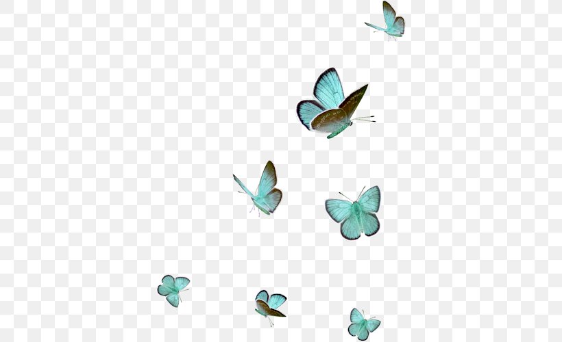 Turquoise, PNG, 364x500px, Turquoise, Aqua, Butterfly, Insect, Invertebrate Download Free