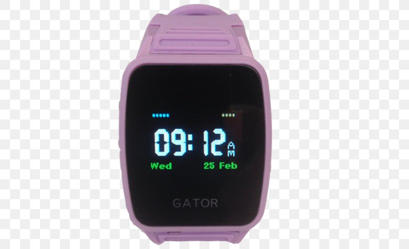 Watch Strap Pedometer, PNG, 500x500px, Watch Strap, Clothing Accessories, Hardware, Magenta, Pedometer Download Free