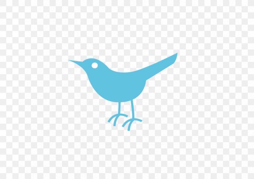 Bird Logo Beak La Talla Perfecta, PNG, 842x595px, Bird, Beak, Fauna, Feather, Logo Download Free