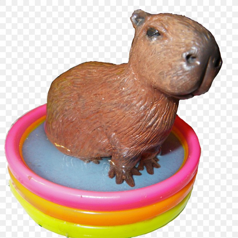 Capybara Rodent Guinea Pig Snout Animal, PNG, 900x903px, Capybara, Animal, Cane Rat, Google Images, Guinea Pig Download Free