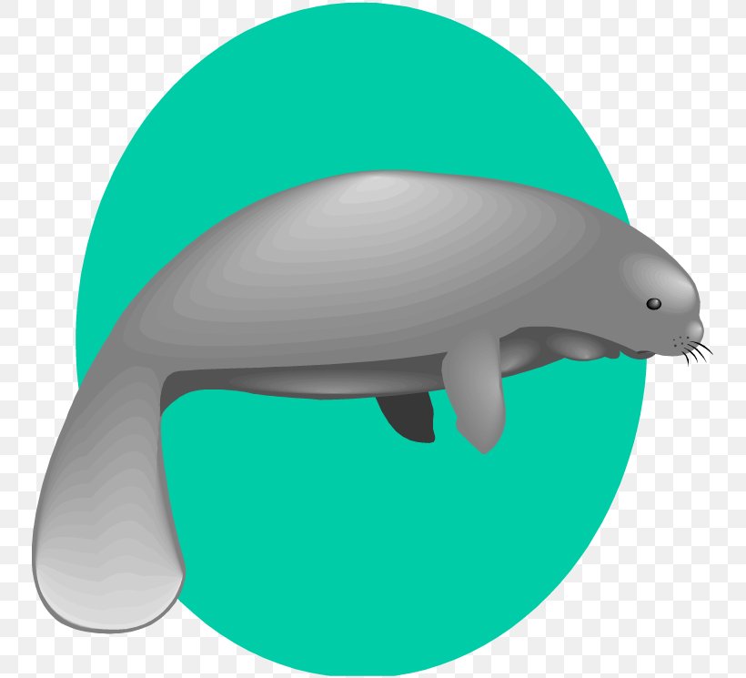 Clip Art Openclipart Manatee Image Free Content, PNG, 750x745px, Manatee, Art, Baby Manatee, Common Bottlenose Dolphin, Document Download Free