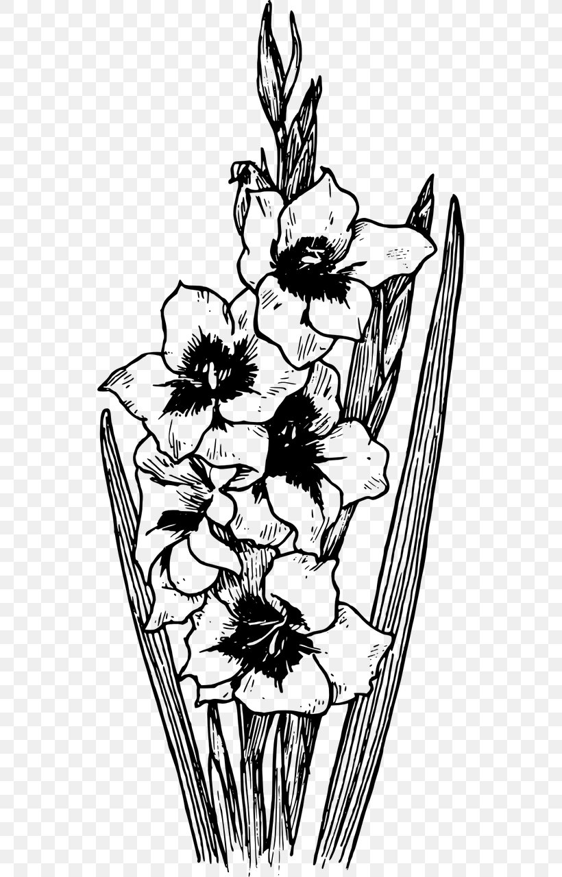 Coloring Book Drawing Stock Photography Gladiolus Communis Clip Art, PNG, 640x1280px, Watercolor, Cartoon, Flower, Frame, Heart Download Free