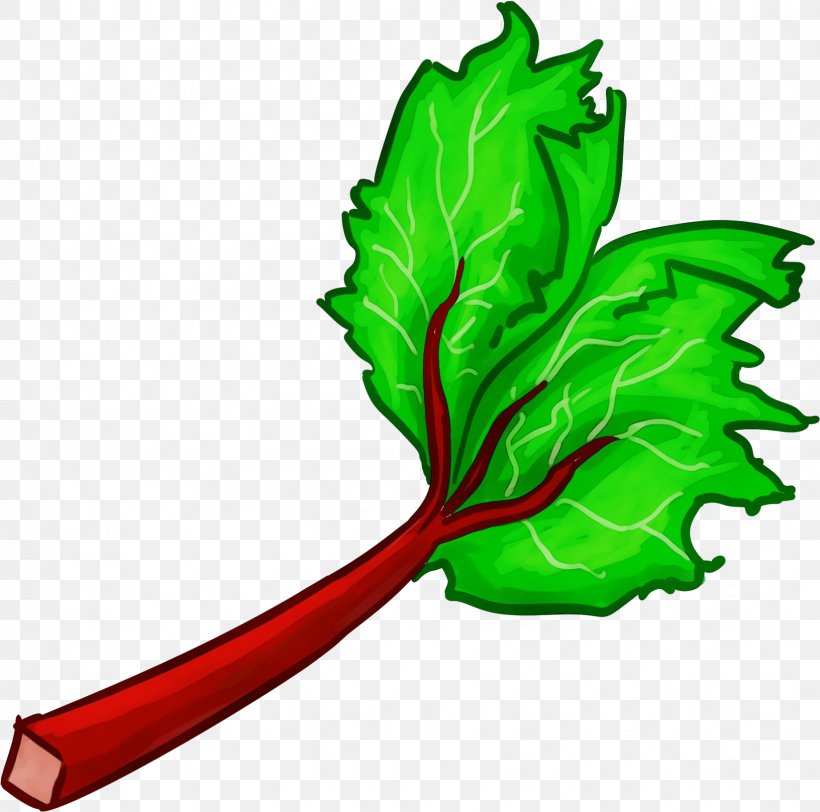 Leaf Green Leaf Vegetable Vegetable Chard, PNG, 1632x1617px, Watercolor, Chard, Green, Herb, Leaf Download Free