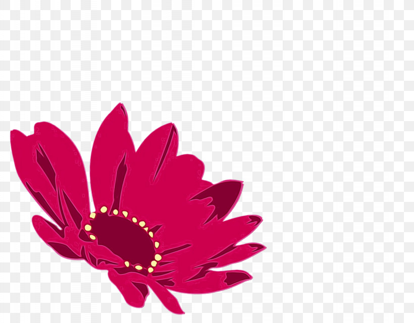 Transvaal Daisy Cut Flowers Petal Magenta Telekom Flower, PNG, 1844x1440px, Watercolor, Cut Flowers, Flower, Magenta Telekom, Paint Download Free