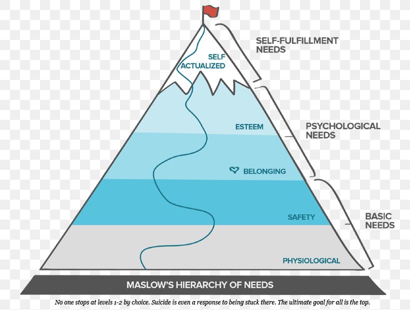 Maslow's Hierarchy Of Needs Psychology Motivation Basic Needs, PNG, 800x621px, Psychology, Abraham Maslow, Area, Basic Income, Basic Needs Download Free