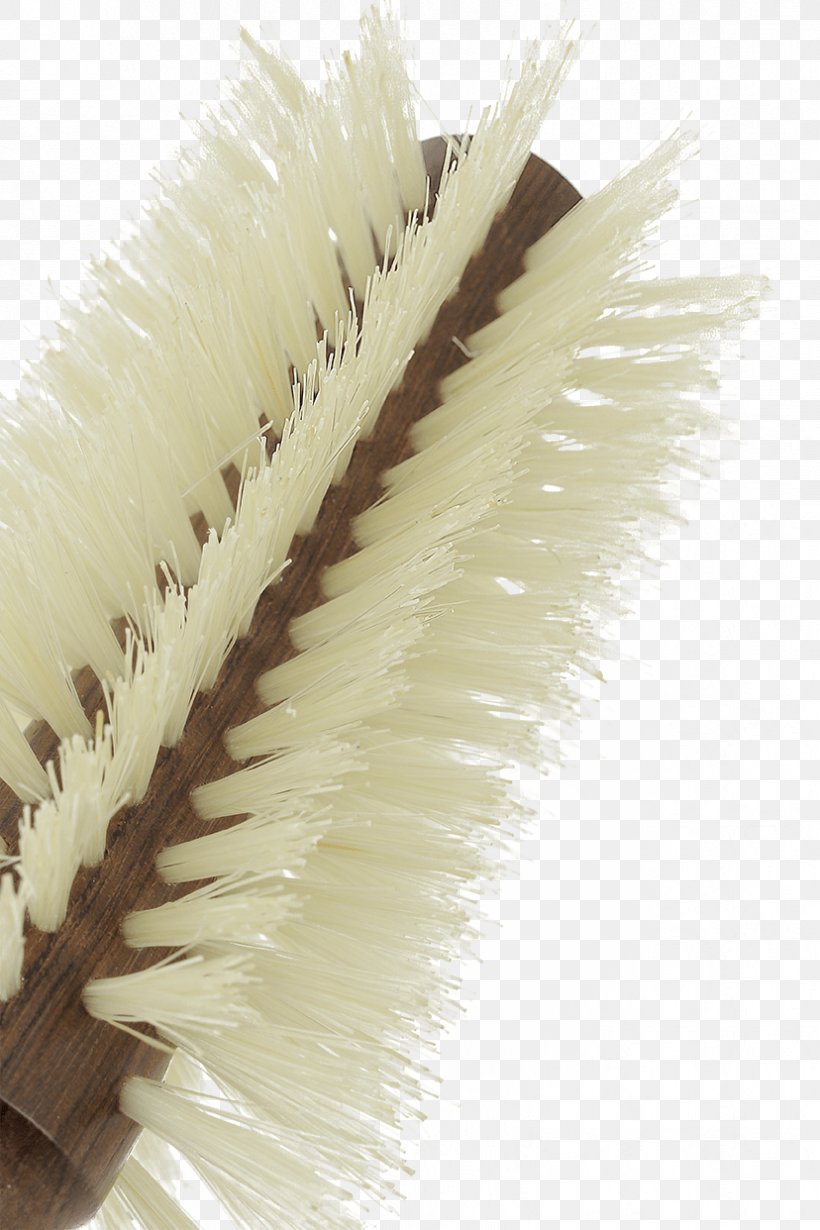 Hairbrush Wild Boar Bristle, PNG, 828x1242px, 100 Natural, Brush, Bristle, Comb, Hair Download Free