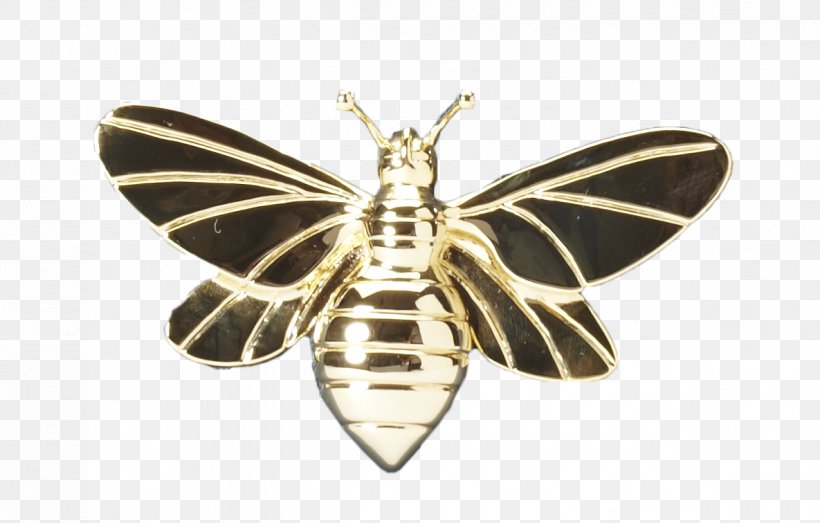 Moth Insect Jewellery Membrane, PNG, 1185x756px, Moth, Arthropod, Insect, Invertebrate, Jewellery Download Free