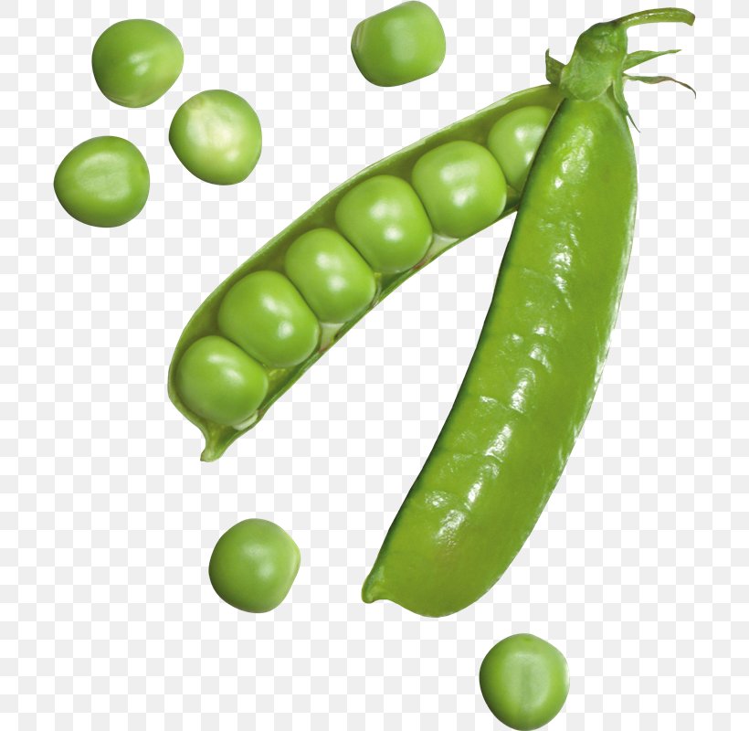 Snow Pea Image Clip Art Download, PNG, 704x800px, Snow Pea, Broad Bean, Commodity, Display Resolution, Food Download Free