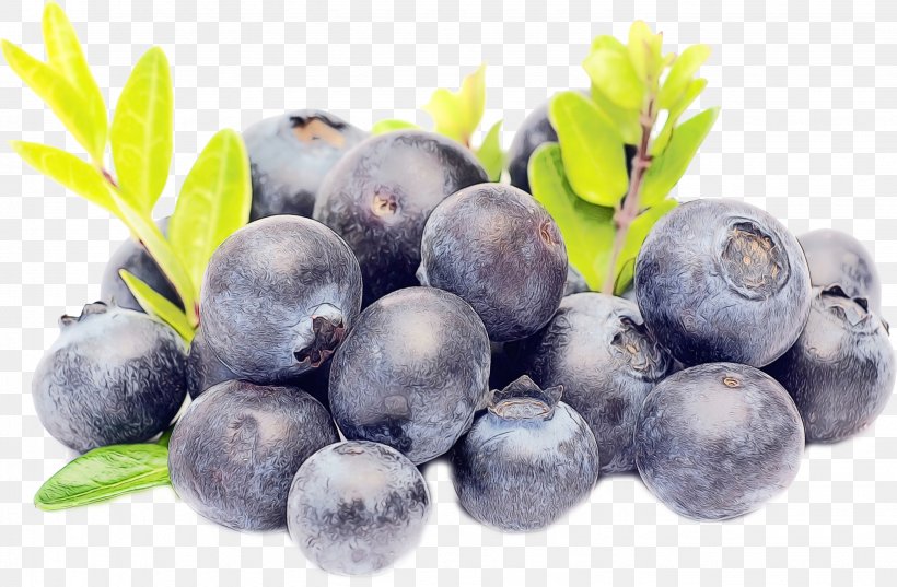 Bilberry Blueberry Fruit Superfood Berry, PNG, 2861x1875px, Watercolor, Berry, Bilberry, Blueberry, European Plum Download Free