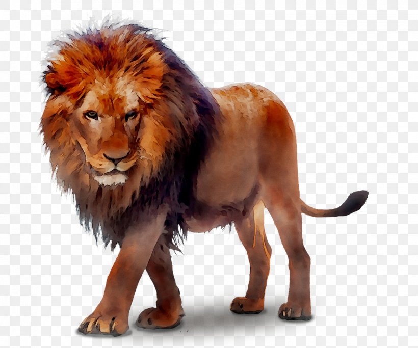 Lion Image Clip Art Transparency, PNG, 1417x1181px, Lion, Animal Figure, Big Cats, Carnivore, Drawing Download Free