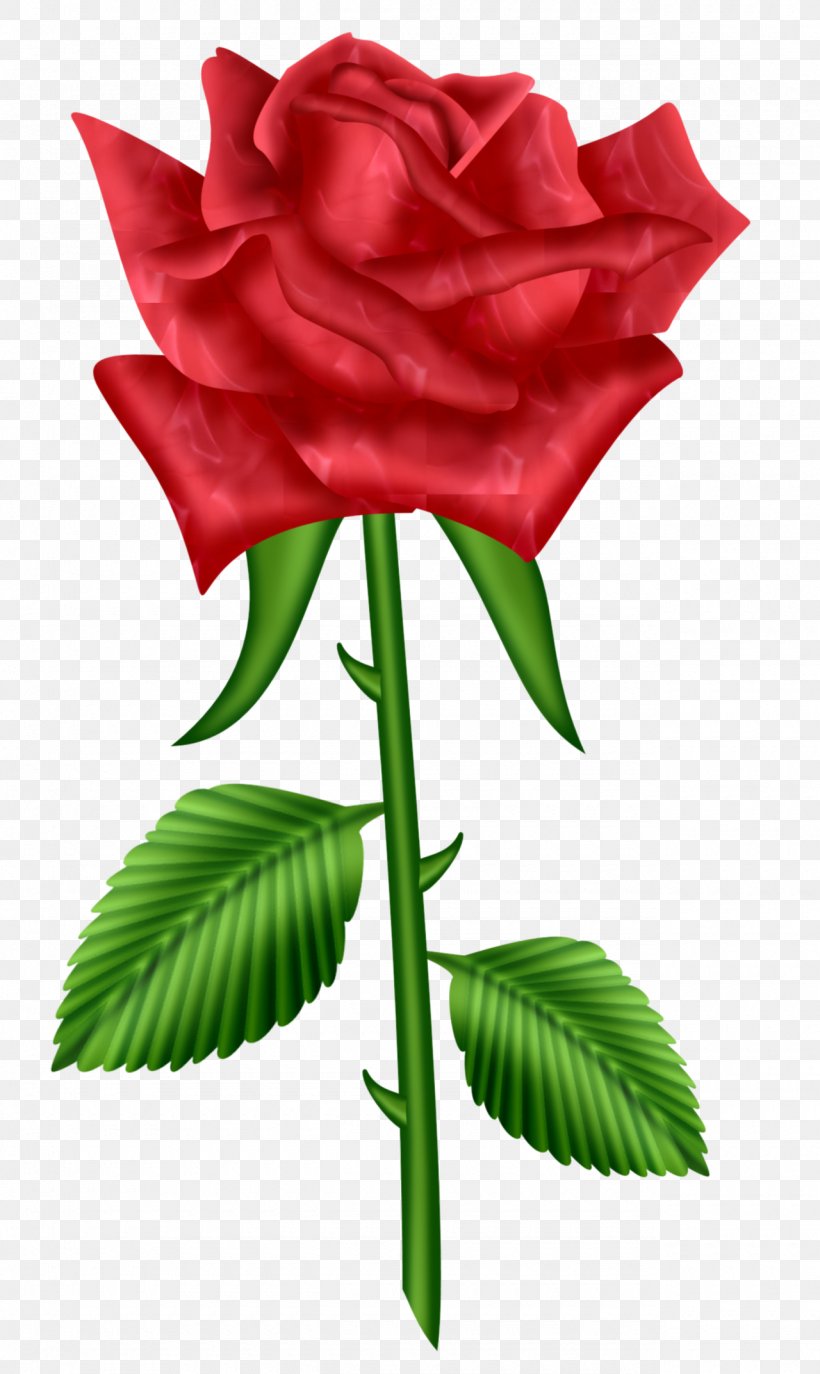 Rose Clip Art, PNG, 1280x2145px, Rose, Bud, China Rose, Cut Flowers, Flora Download Free