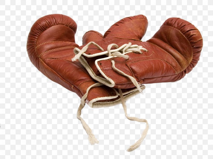 Professional Boxing Professional Boxer Boxing Glove Heavyweight, PNG, 1280x960px, Boxing, Baseball Glove, Baseball Protective Gear, Boxing Glove, Coach Download Free