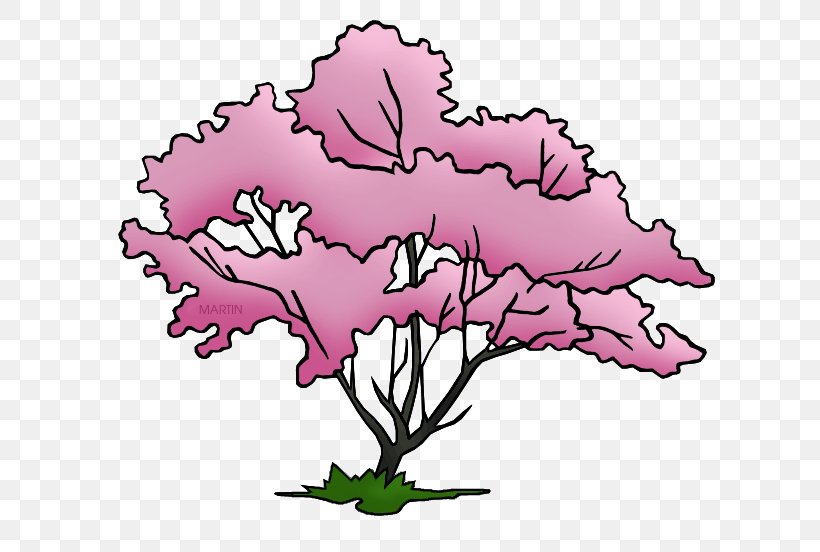 Flowering Dogwood Virginia State Tree Clip Art, PNG, 648x552px, Flowering Dogwood, Branch, Cut Flowers, Dogwood, Drawing Download Free