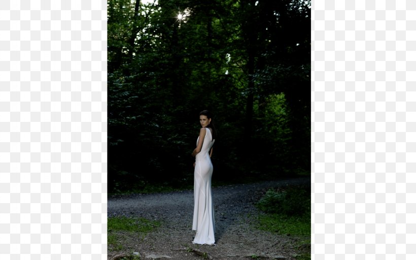 Gown, PNG, 1280x800px, Gown, Dress, Grass, Lawn, Tree Download Free