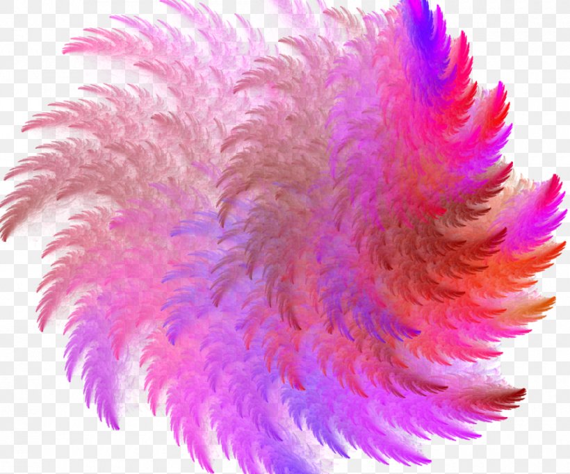 Feather Close-up Pink M, PNG, 900x749px, Feather, Closeup, Feather Boa, Magenta, Petal Download Free