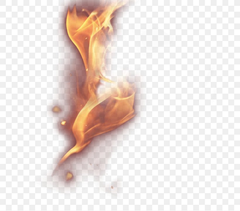 Fire Euclidean Vector Flame, PNG, 658x721px, Light, Combustion, Computer Graphics, Designer, Ear Download Free