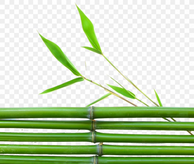 Lucky Bamboo Leaf Wallpaper, PNG, 1400x1191px, Bamboo, Building, Grass, Grass Family, Green Download Free