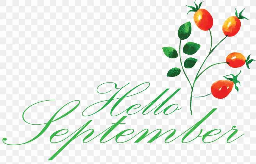 Hello September, PNG, 3000x1923px, Hello September, Computer, Justin Bieber, Line, Logo Download Free
