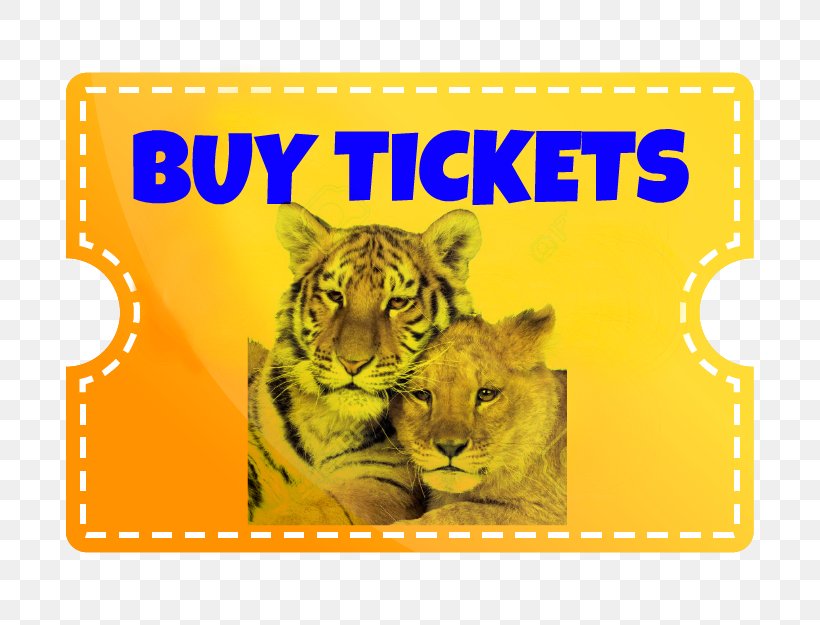 Lion Tiger Dade City's Wild Things Christmas Gift, PNG, 688x625px, Lion, Big Cats, Birthday, Boy, Carnivoran Download Free