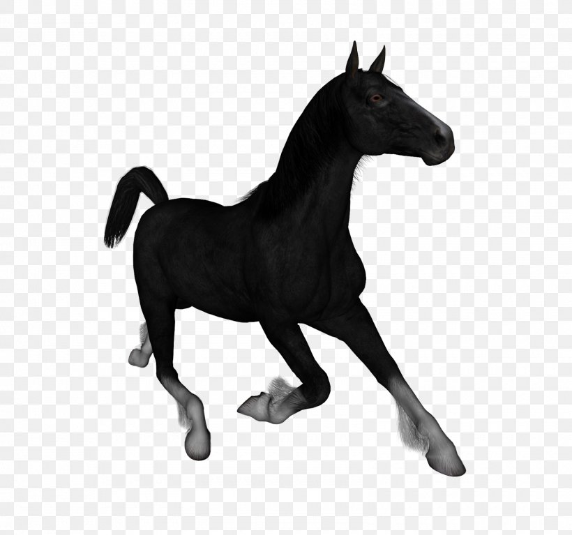 Mustang Stallion Foal Mare Clip Art, PNG, 1600x1498px, Mustang, Animal Figure, Black And White, Bridle, Colt Download Free
