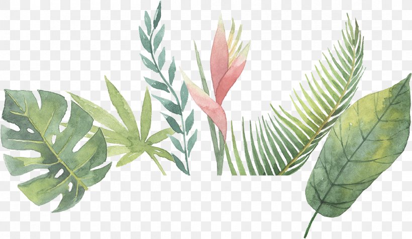 Plant Abstract Art Description, PNG, 1084x629px, 2018, Plant, Abstract Art, Description, Flower Download Free