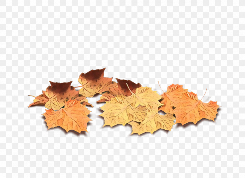Maple Leaf, PNG, 1200x873px, Leaf, Black Maple, Deciduous, Maple Leaf, Orange Download Free