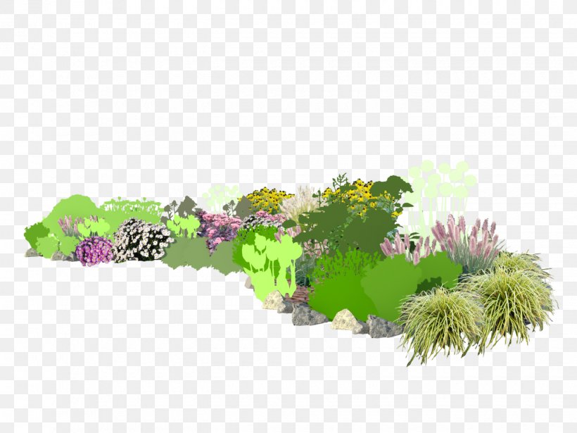 Tree Shrub Herb Aquarium, PNG, 1440x1080px, Tree, Aquarium, Aquarium Decor, Flora, Grass Download Free