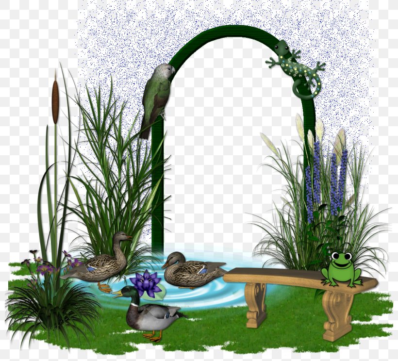 Floral Design Majorelle Blue Majorelle Garden Grasses Flowerpot, PNG, 800x744px, Floral Design, Blue, Family, Floristry, Flower Download Free