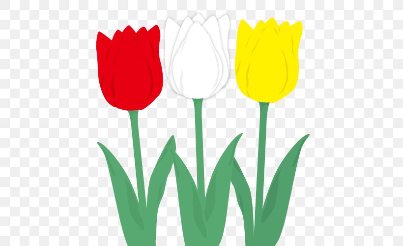 Tulip Desktop Wallpaper Computer Clip Art, PNG, 500x500px, Tulip, Computer, Flower, Flowering Plant, Grass Download Free