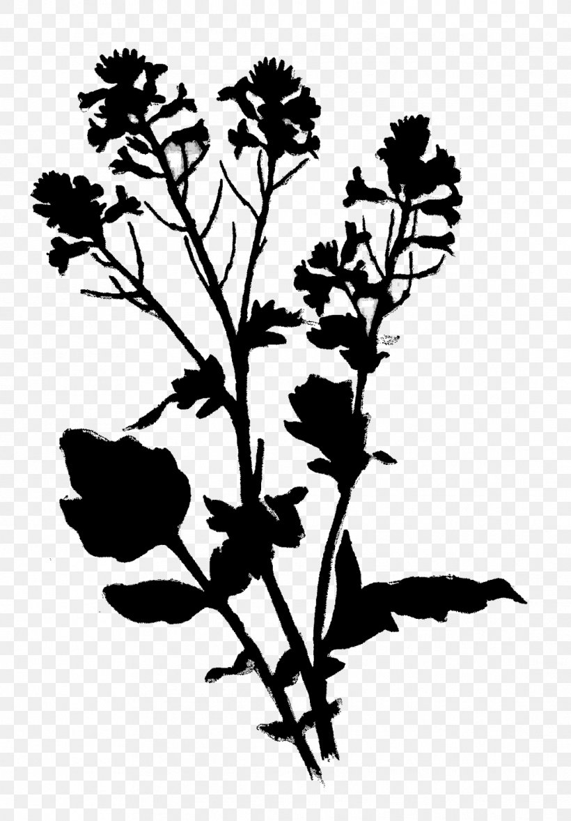 Twig Flower Plant Stem Clip Art Leaf, PNG, 1113x1600px, Twig, Blackandwhite, Botany, Flower, Flowering Plant Download Free