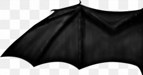 Bat - Bat Wing Development Common Bent-wing Bat PNG