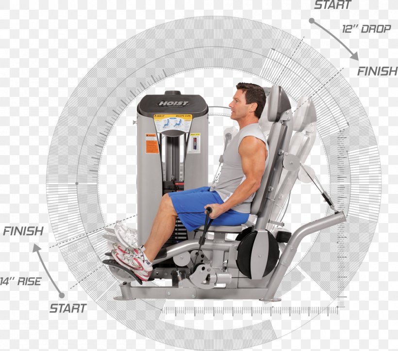 Exercise Machine Biceps Curl Fitness Centre, PNG, 1000x883px, Exercise Machine, Arm, Biceps, Biceps Curl, Bodybuilding Download Free
