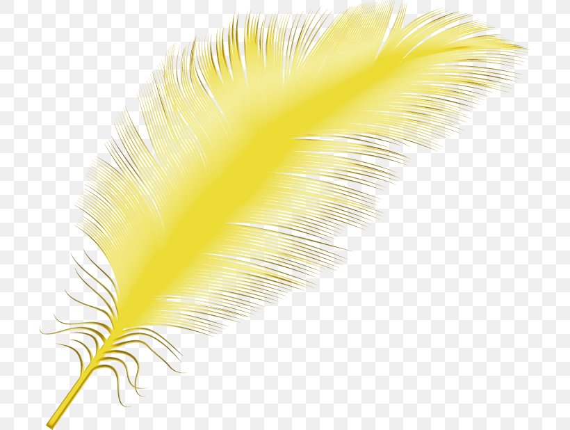 Feather, PNG, 705x618px, Watercolor, Fashion Accessory, Feather, Paint, Quill Download Free