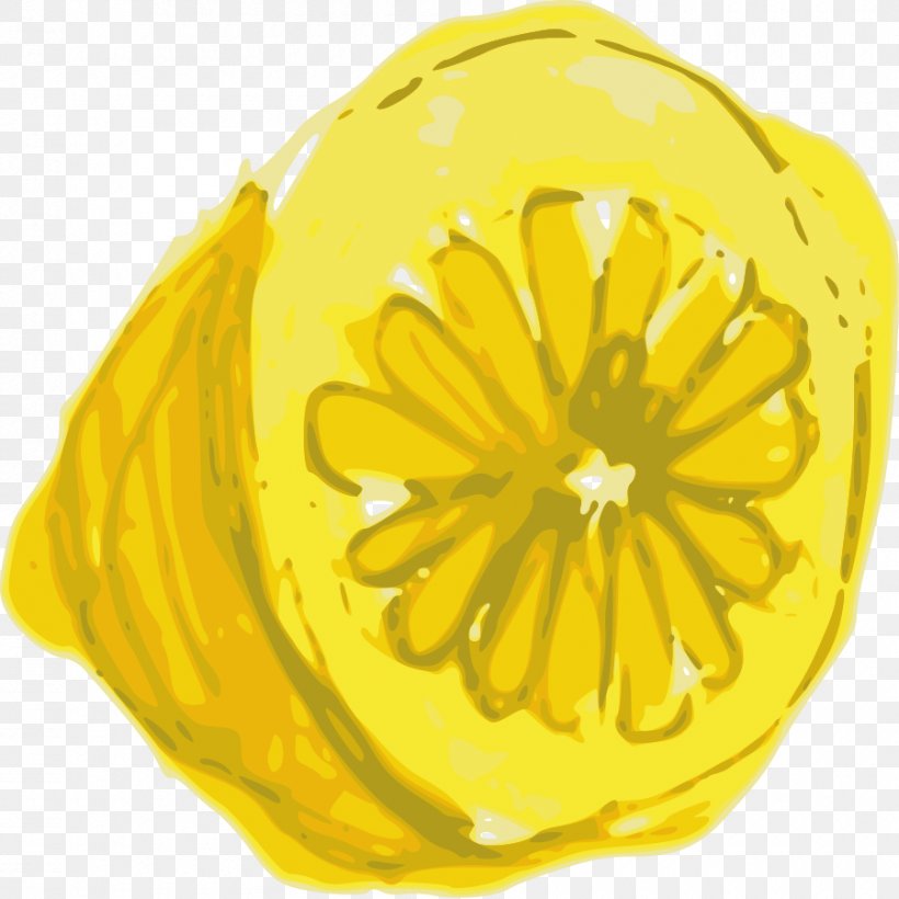 Lemon Citron Clip Art, PNG, 900x900px, Lemon, Calabaza, Cartoon, Citron, Citrus Download Free