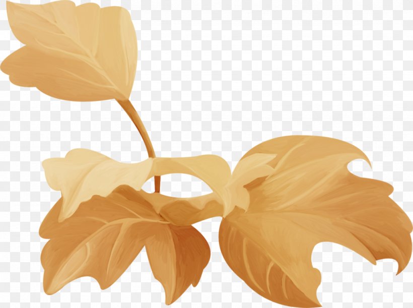 Paper Petal Leaf, PNG, 1024x764px, Paper, Egypt, Flower, Landscape, Leaf Download Free