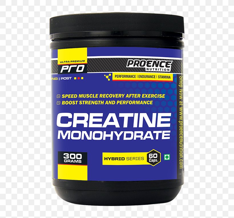 Dietary Supplement Creatine Nutrition Bodybuilding Supplement Branched-chain Amino Acid, PNG, 550x765px, Dietary Supplement, Amino Acid, Bodybuilding, Bodybuilding Supplement, Branchedchain Amino Acid Download Free