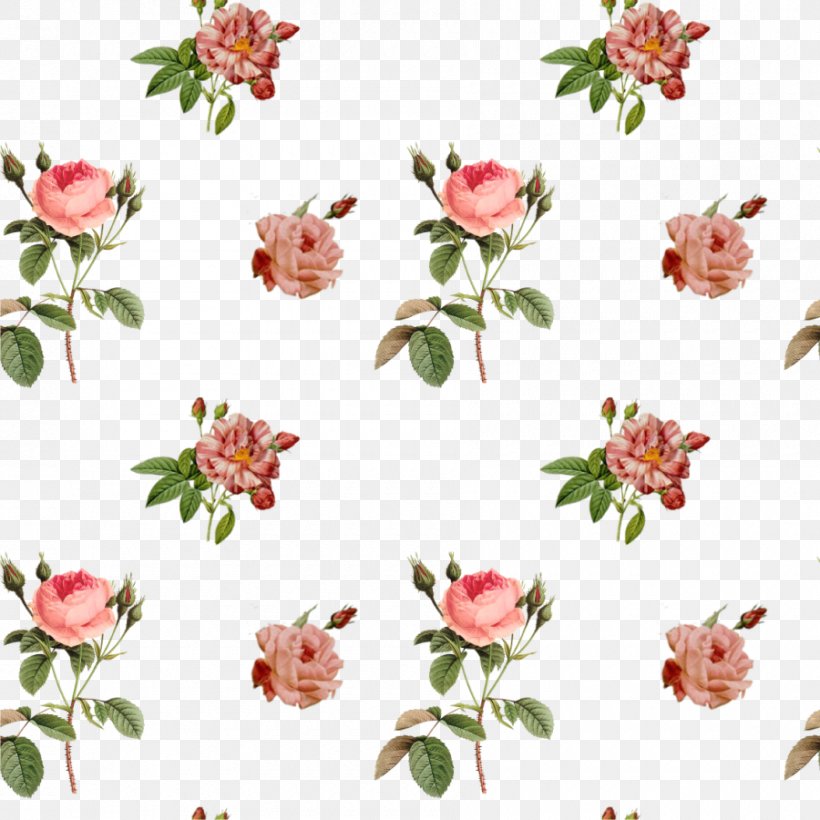 Flower Garden Roses Clip Art, PNG, 900x900px, Flower, Birthday, Cut Flowers, Document, Flora Download Free