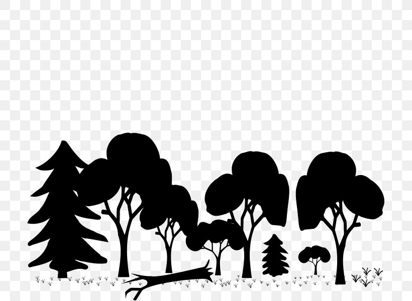 Forest Woodland Clip Art, PNG, 715x600px, Forest, Black, Black And White, Branch, Drawing Download Free