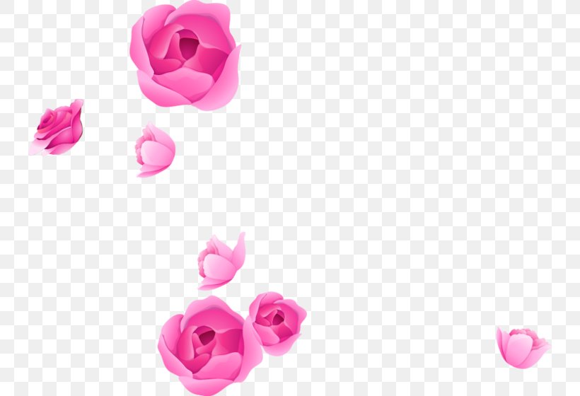 Rose Clip Art Image Adobe Photoshop, PNG, 740x560px, Rose, Close Up, Color, Cut Flowers, Drawing Download Free