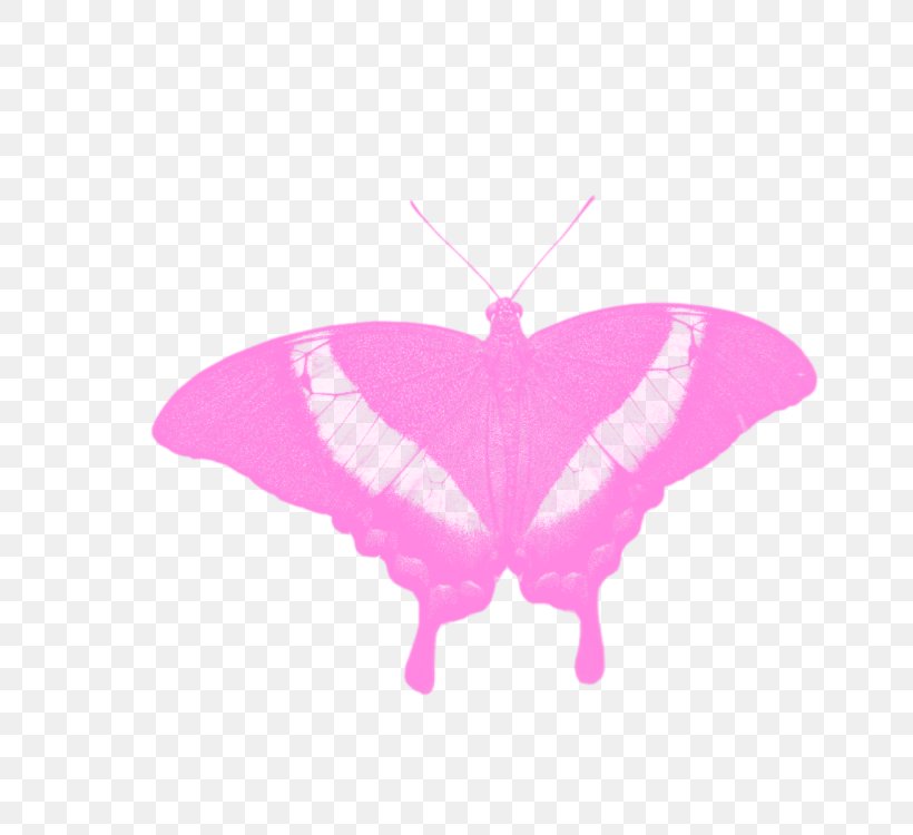 Monarch Butterfly Euclidean Vector, PNG, 750x750px, Butterfly, Aglais Io, Butterflies And Moths, Butterfly Net, Description Download Free