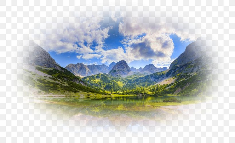 Cartoon Nature Background, PNG, 800x500px, Song, Beat Music, Cloud, Forest, Grass Download Free