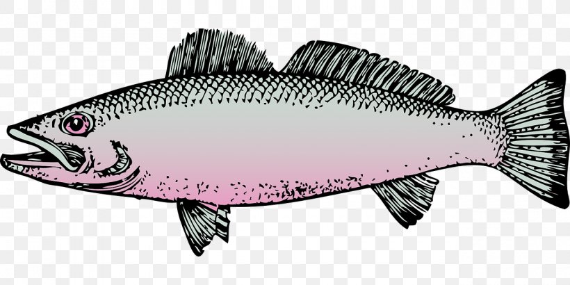 Clip Art Fishing Rainbow Trout, PNG, 1280x640px, Fishing, Angling, Art, Barramundi, Bonito Download Free
