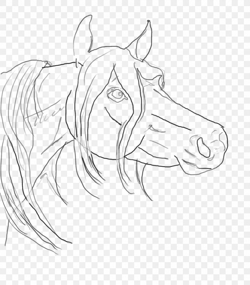 Line Art Arabian Horse Drawing Sketch, PNG, 900x1027px, Art, Arabian Horse, Arm, Artist, Artwork Download Free