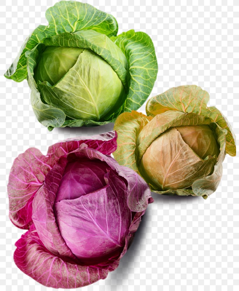 Savoy Cabbage Cauliflower Brussels Sprout Vegetable, PNG, 800x1000px, Cabbage, Arugula, Brassica Oleracea, Brussels Sprout, Carrot Download Free